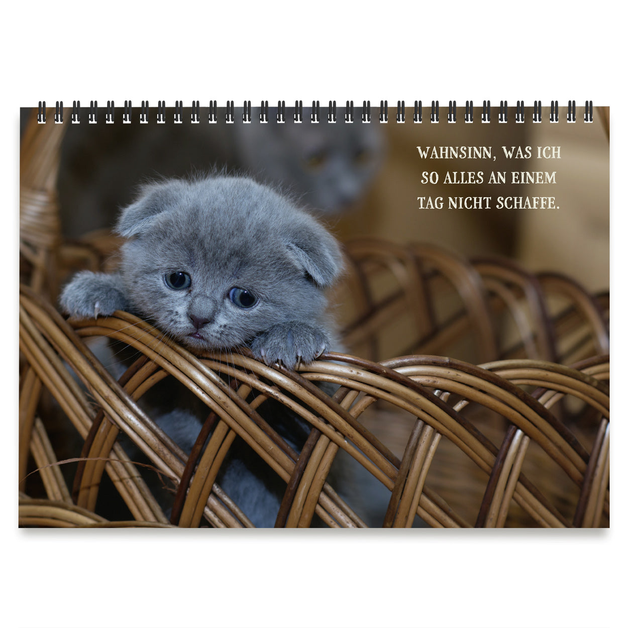 Tischaufsteller "Nicht mein Tag"