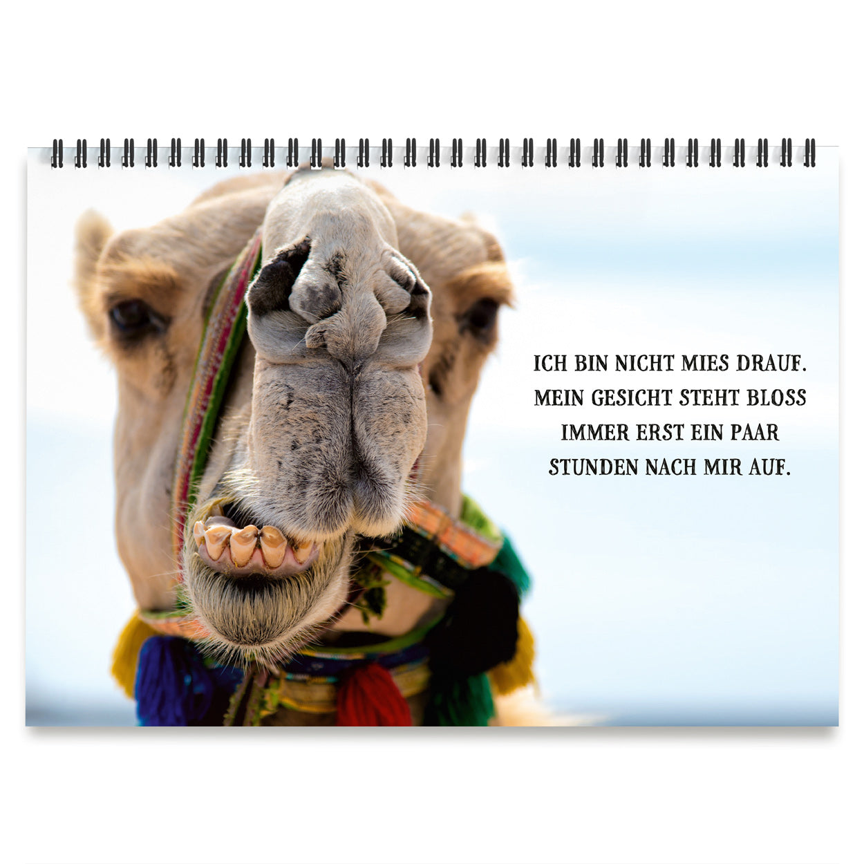 Tischaufsteller "Nicht mein Tag"