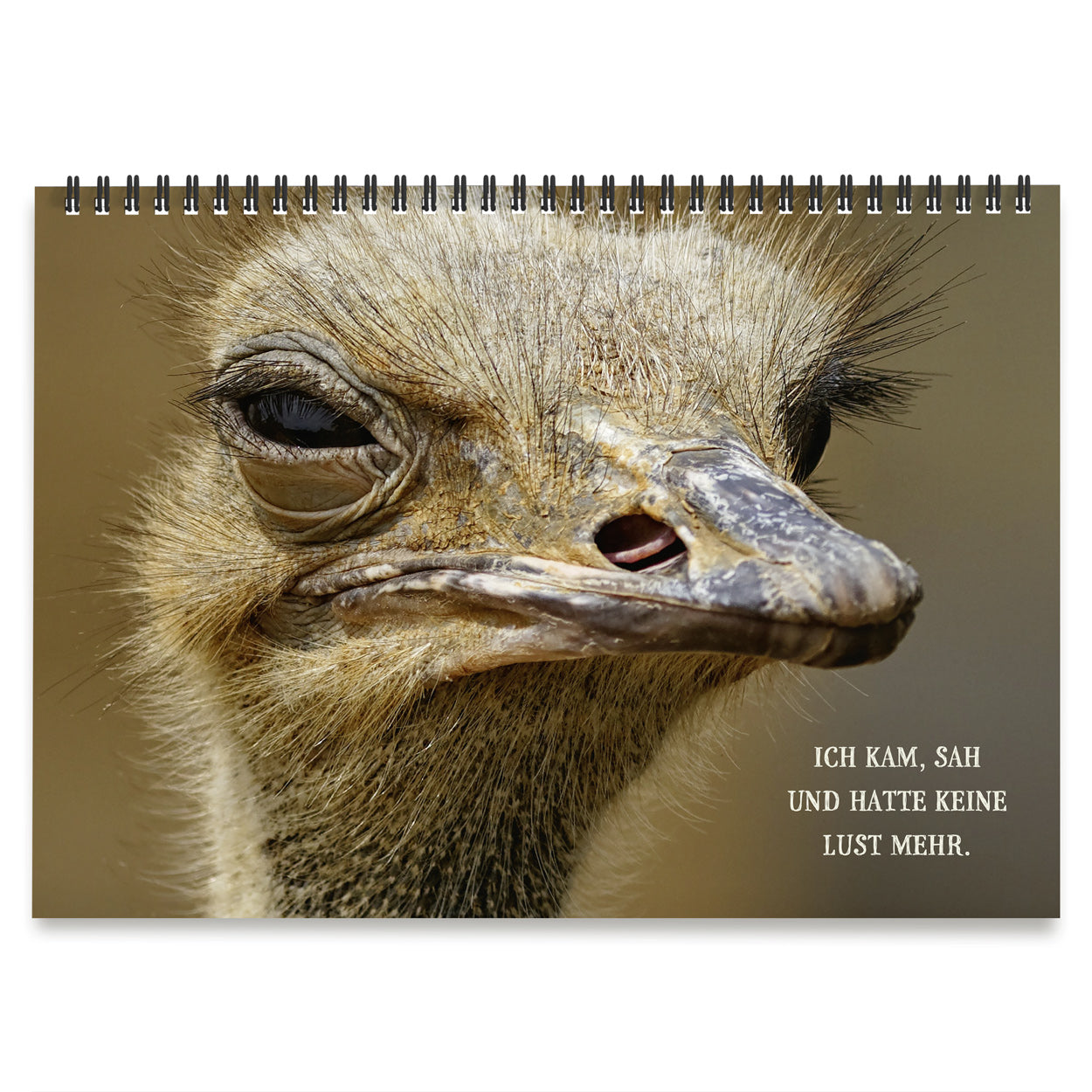 Tischaufsteller "Nicht mein Tag"