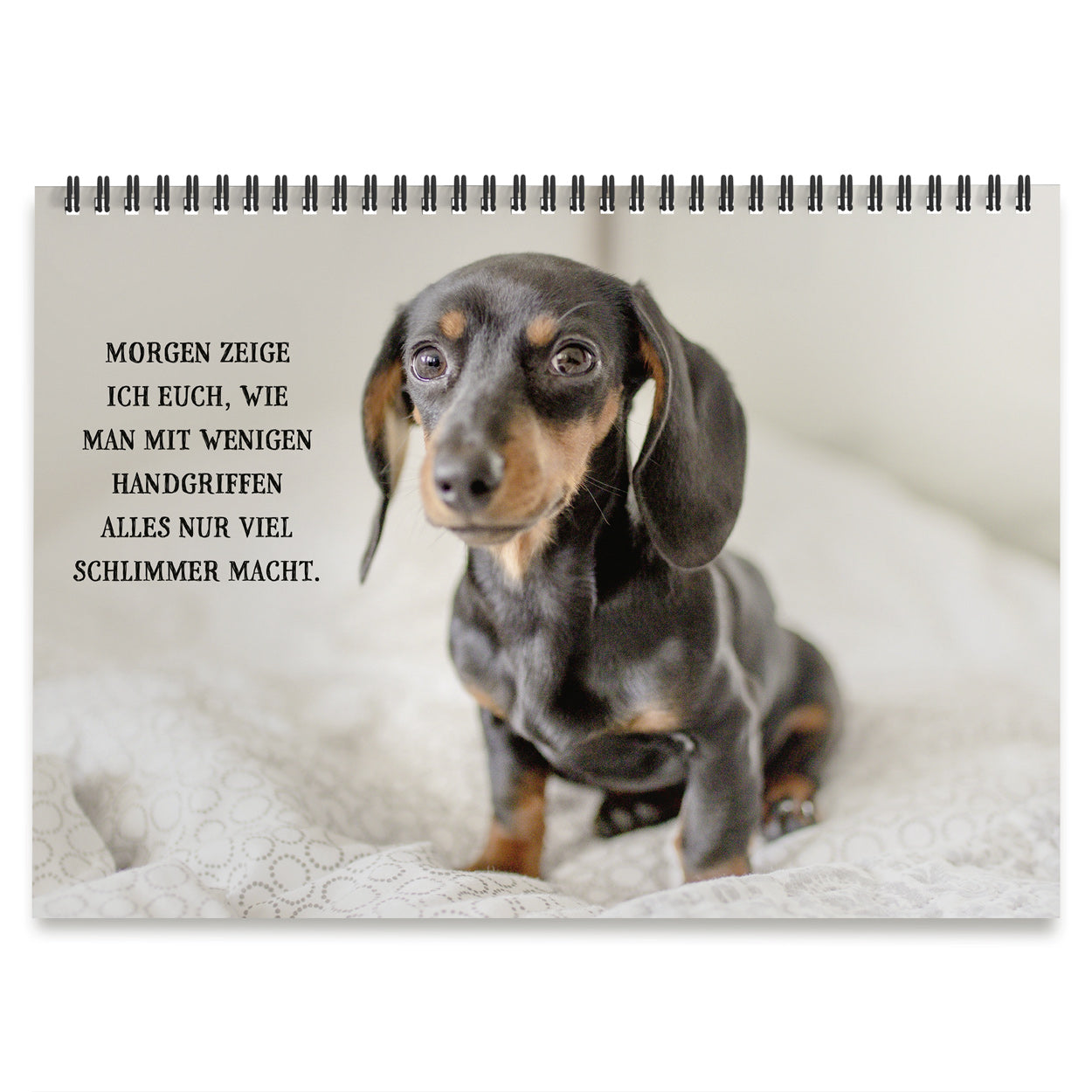 Tischaufsteller "Nicht mein Tag"