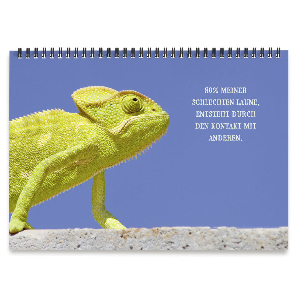 Tischaufsteller "Nicht mein Tag"