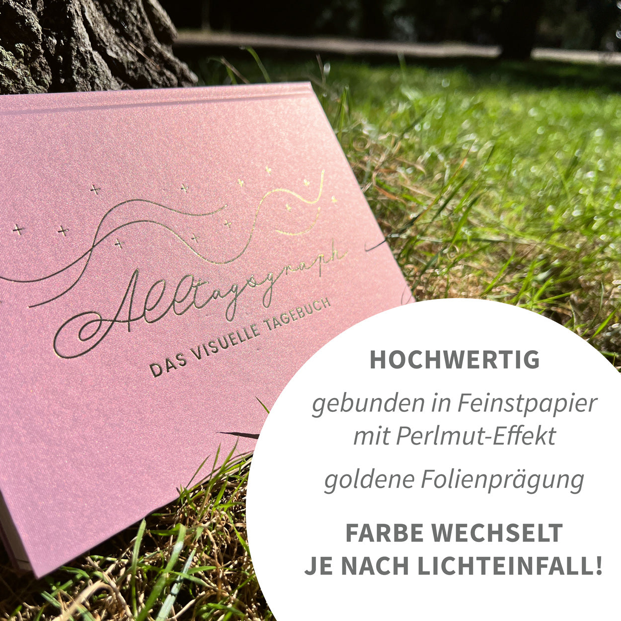 Alltagsgraph – Das visuelle Tagebuch