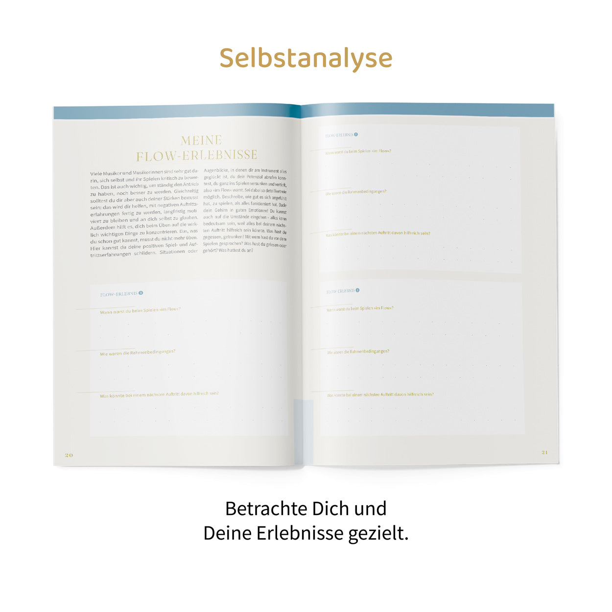 Probespiel Journal – Tipps, positives Mindset und Vorbereitung